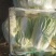 夏邑大白菜青杂三号