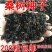 大叶桑树种子四季桑葚果种子农桑14号强桑1号养蚕