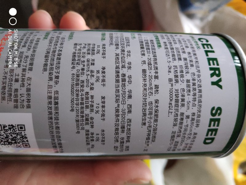 芹菜种子一黄心芹菜色泽黄亮生长速度快长势旺