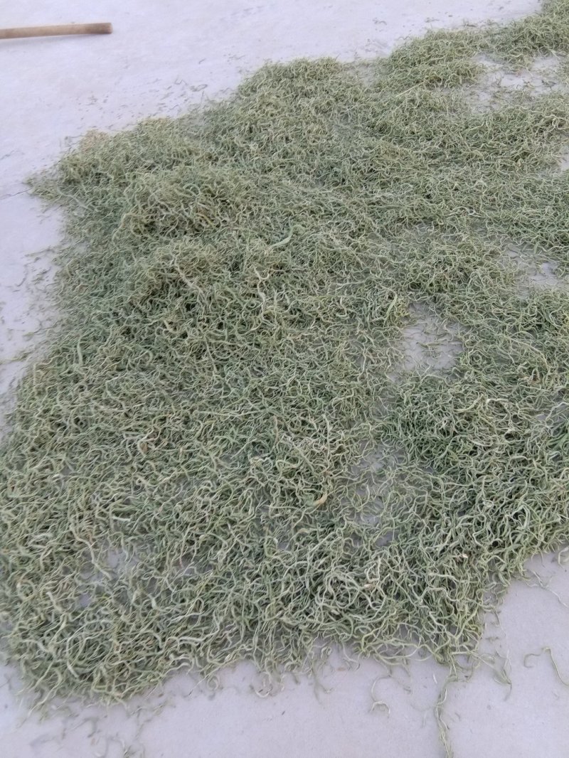 蔚县干菜无丝架豆王，货源充足，质量保证，需要的老板联系