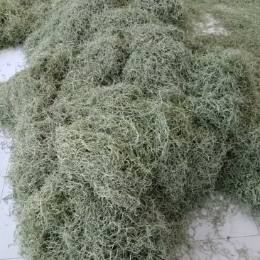 蔚县干菜无丝架豆王，货源充足，质量保证，需要的老板联系