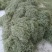 蔚县干菜无丝架豆王，货源充足，质量保证，需要的老板联系