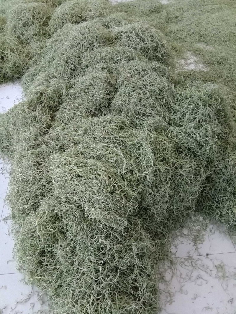 蔚县干菜无丝架豆王，货源充足，质量保证，需要的老板联系