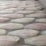 巴沙鱼柳,巴沙鱼,开背鱼,鱼块,鱼片。6/7/8/9干冰