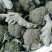 单个重1.2斤，翠绿，结球紧。