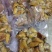 鲍螺（假鲍鱼）熟肉，假鲍鱼肉，螺肉，大连假鲍鱼，珍珠鲍