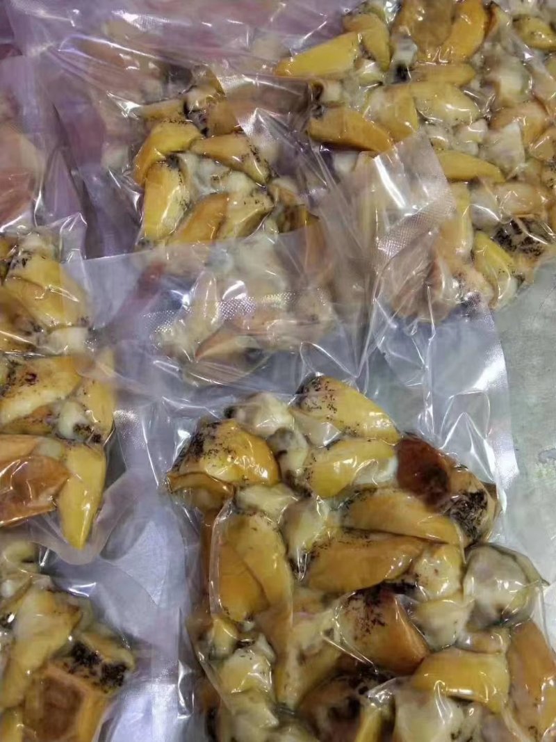 鲍螺（假鲍鱼）熟肉，假鲍鱼肉，螺肉，大连假鲍鱼，珍珠鲍