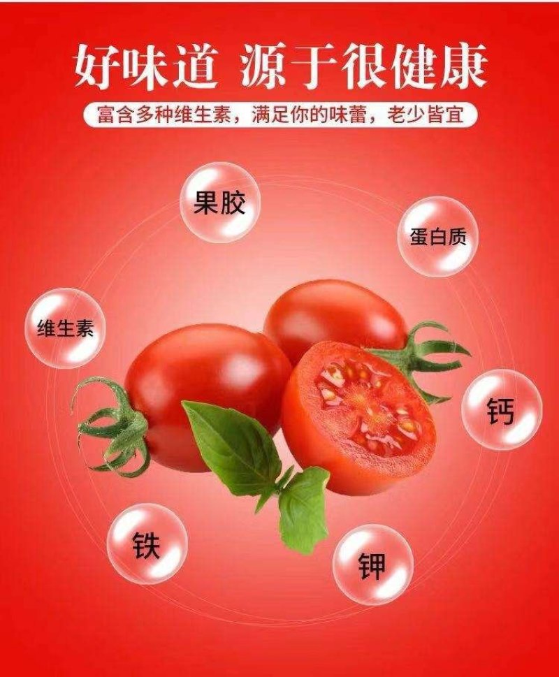 千禧圣女果15g以上