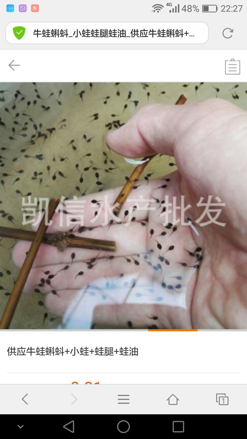 供应牛蛙苗蝌蚪苗牛蛙油
