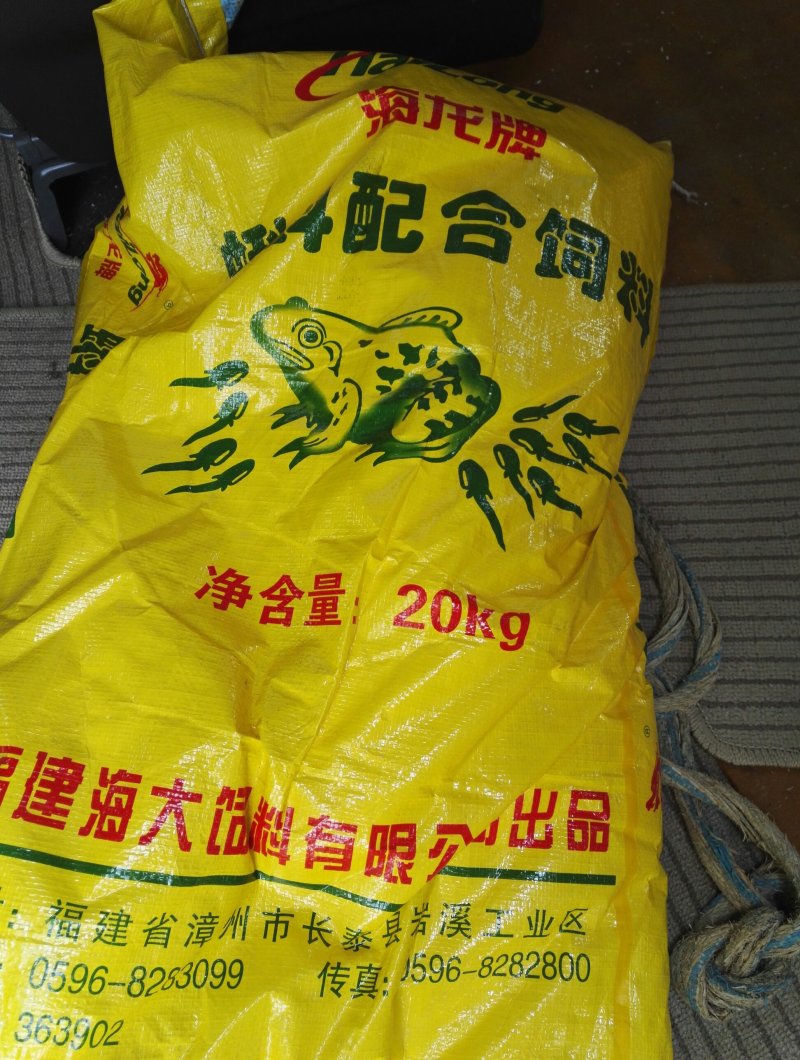 供应牛蛙苗蝌蚪苗牛蛙油