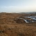 荒地，山地，