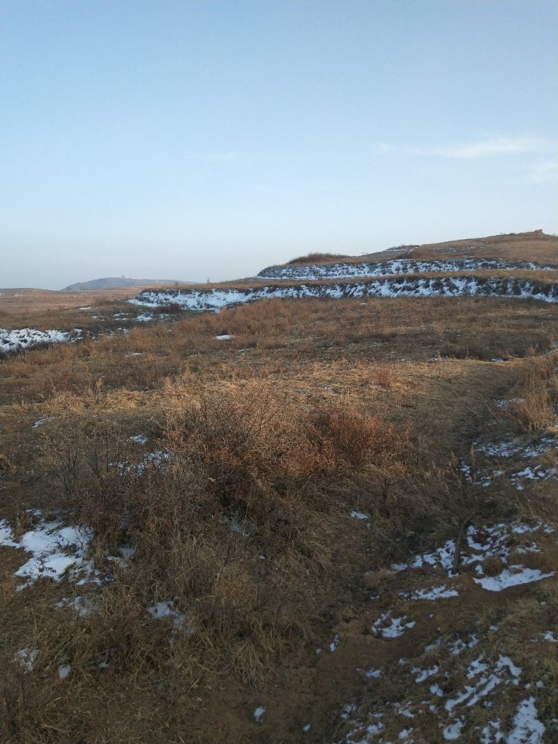 荒地，山地，