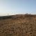 荒地，山地，