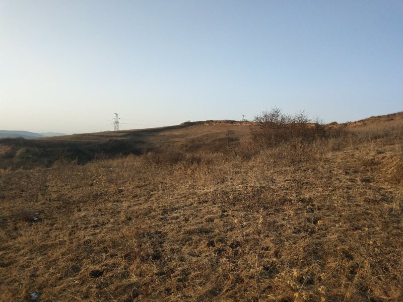 荒地，山地，