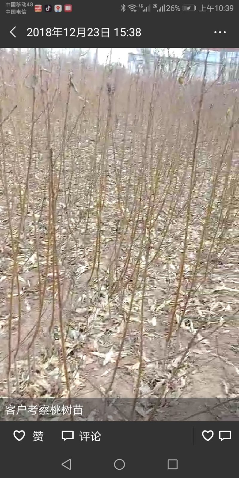 泰安开发区渌源艺厂