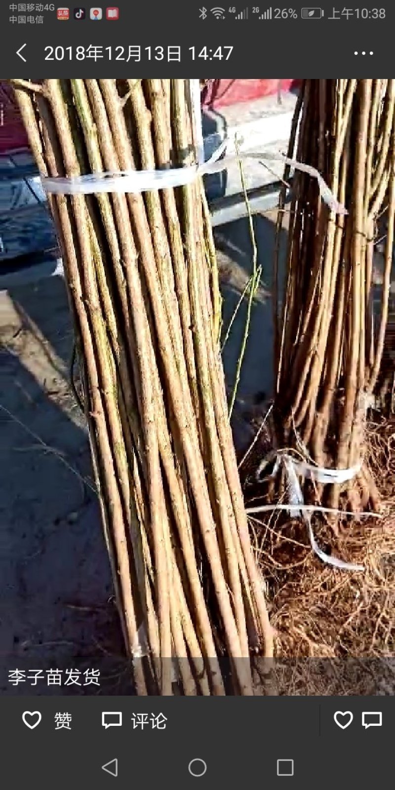 泰安开发区渌源艺厂