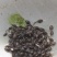 青蛙苗牛蛙苗技术苗子销售