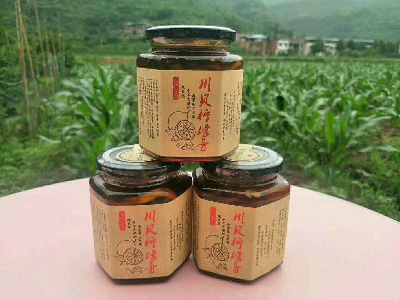 川贝枇杷膏2瓶包邮