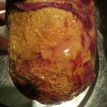 鸡宝
