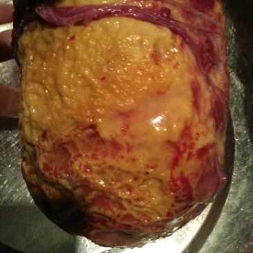鸡宝