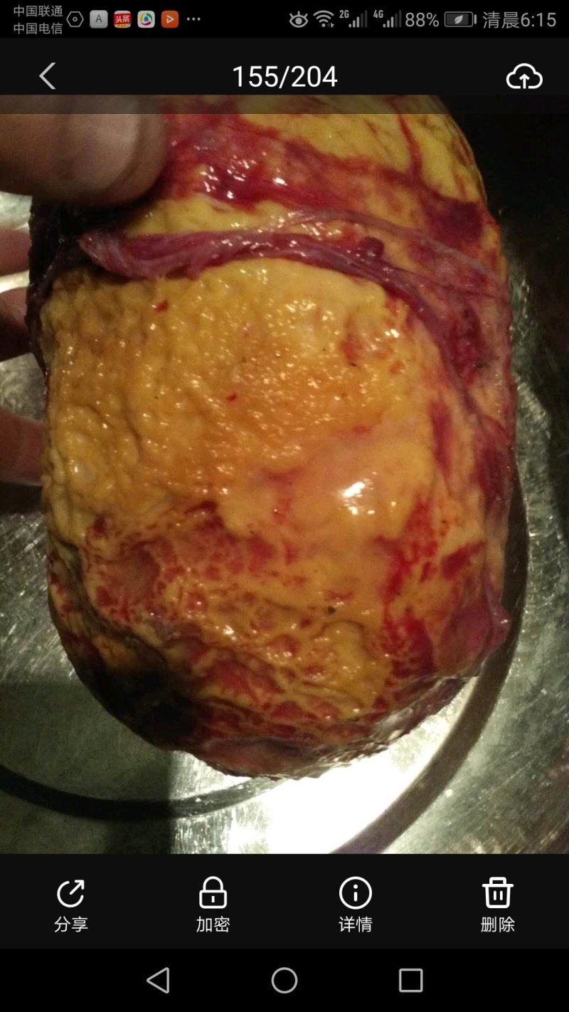 鸡宝