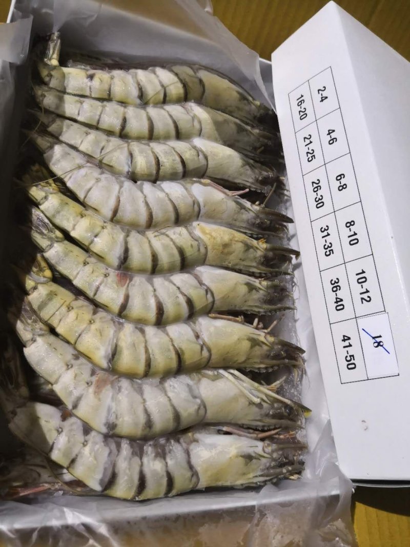 泰虾