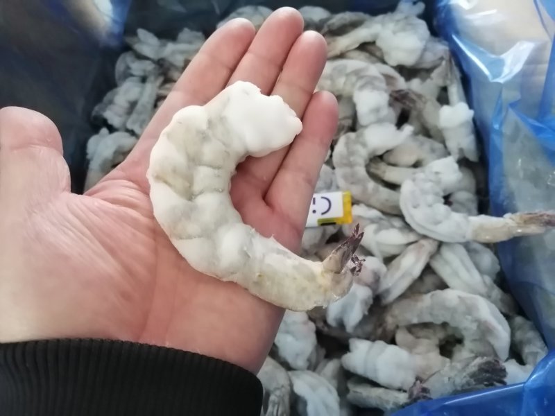 泰虾