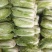 北京三号白菜净菜每斤0、05元