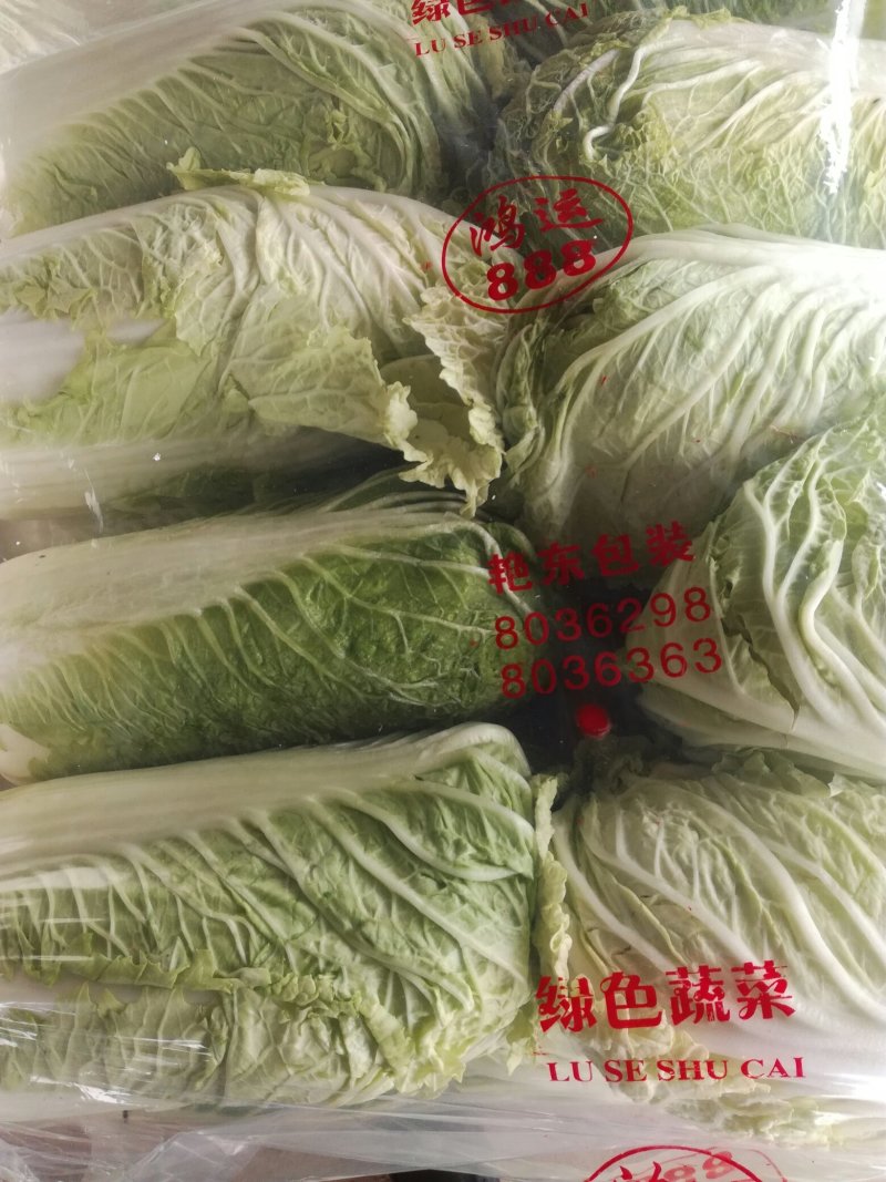 北京三号白菜净菜每斤0、05元