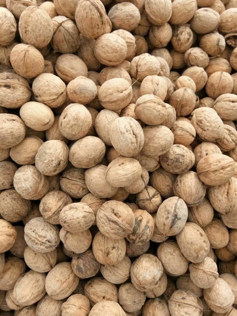 大枣核桃