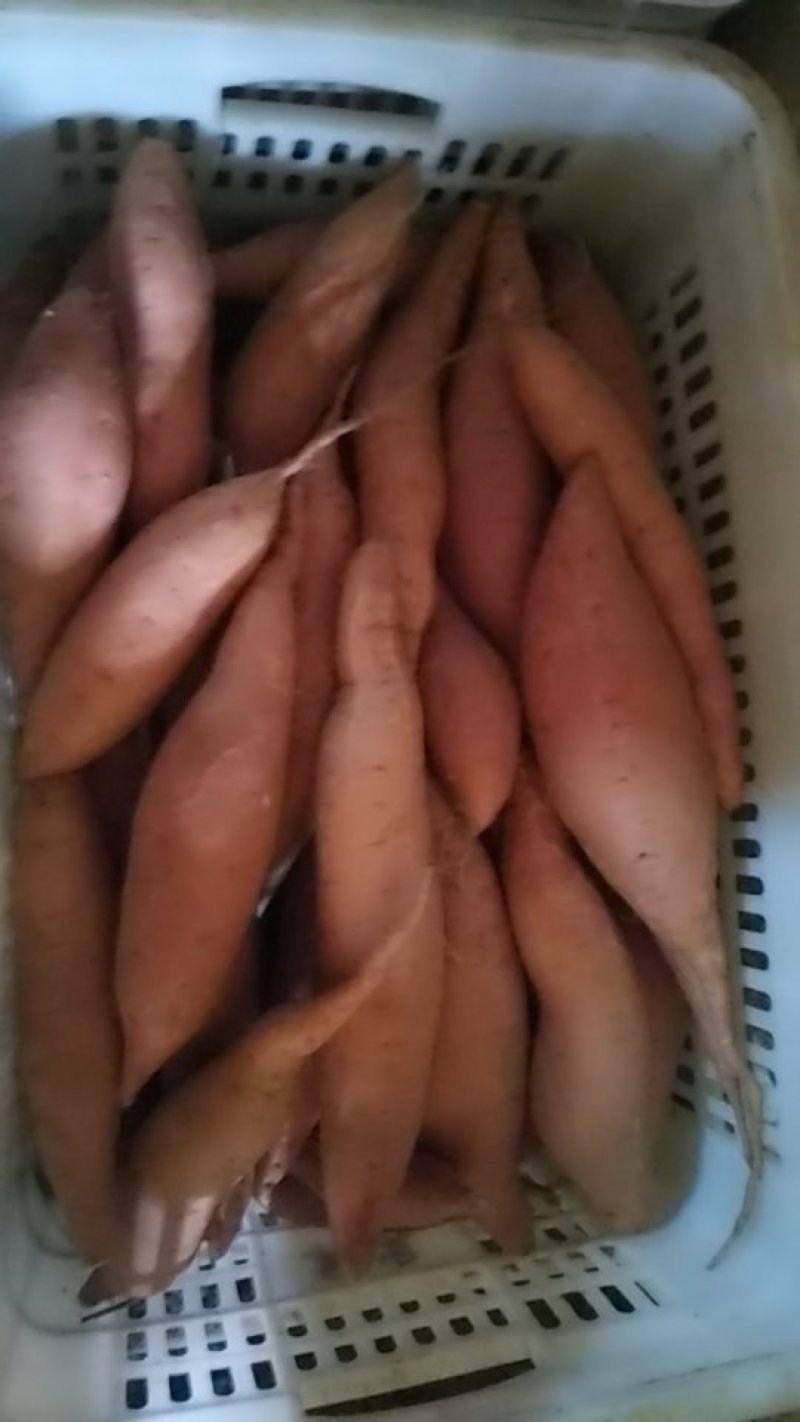 精品烟暑25