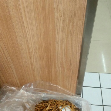 黄花菜种苗