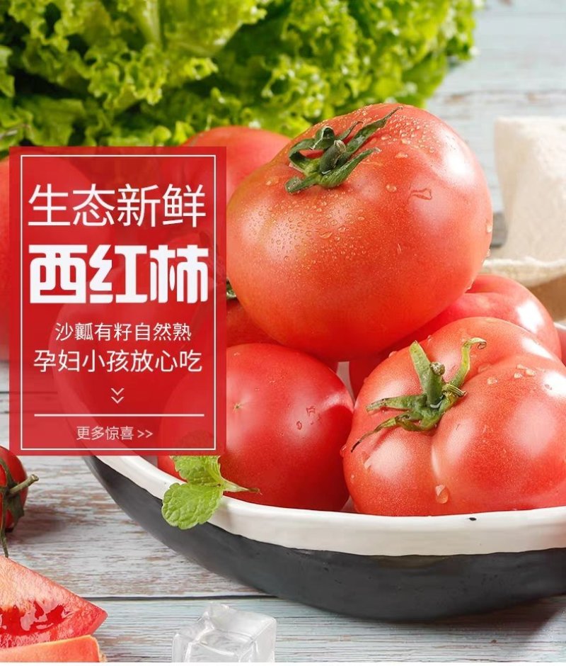 山东海阳普罗旺斯西红柿，落地配，社团，产地直发，一级代办