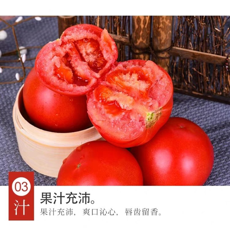 山东海阳普罗旺斯西红柿，落地配，社团，产地直发，一级代办