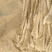 白玉麻山药佛手口感湿面好吃，老少都喜欢