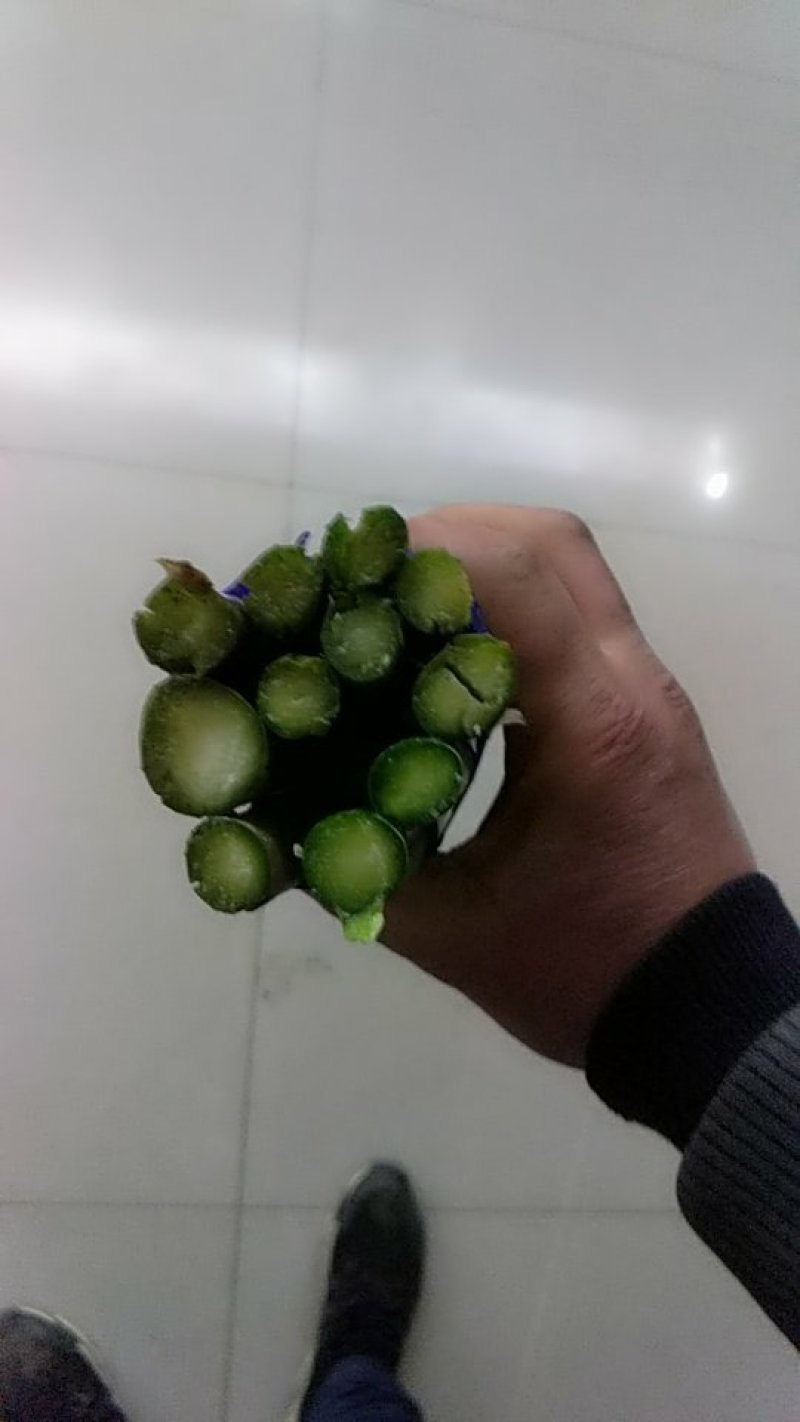 精品芦笋