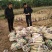 广西黑皮甘蔗种苗甘蔗苗甘蔗种苗黑皮甘蔗种苗甘蔗种