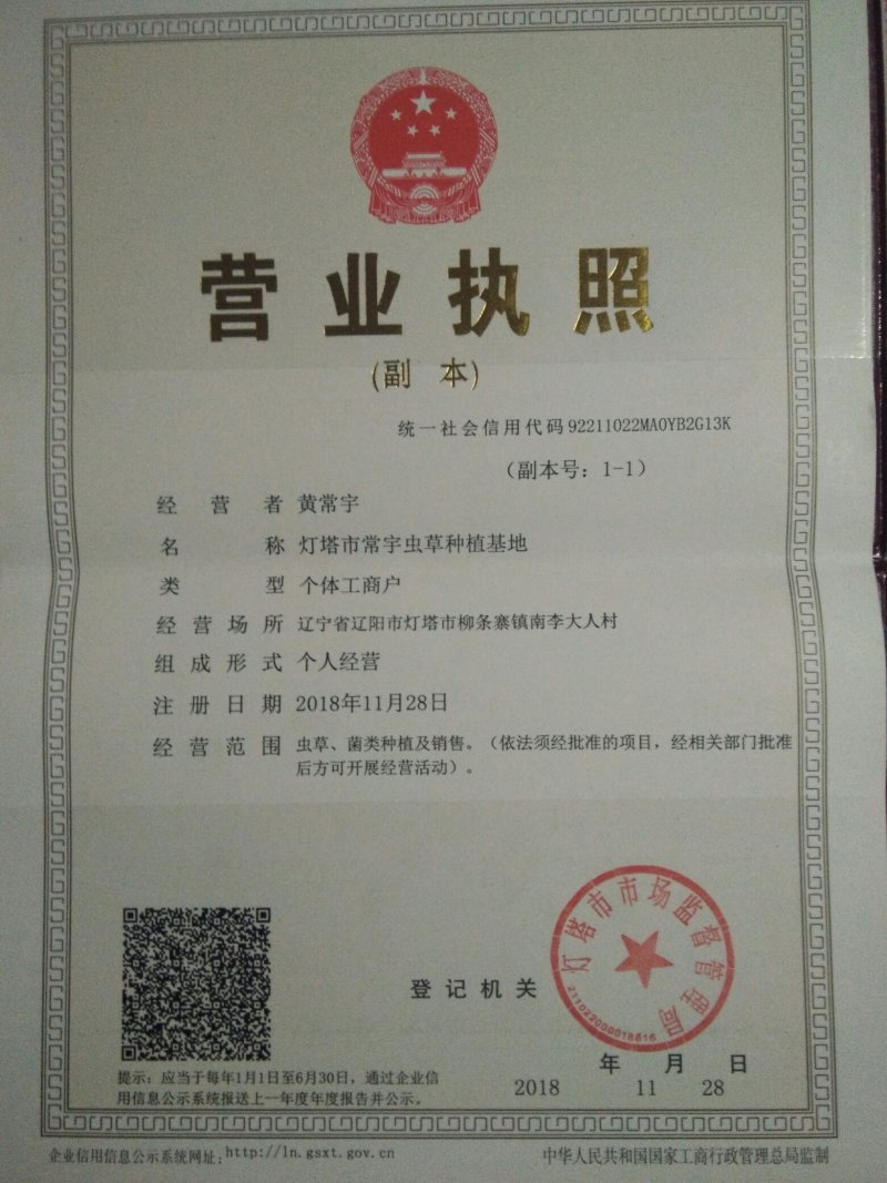 孢子头排草虫草花干货北虫草蛹虫草金虫草干菌子食用菌菌菇！
