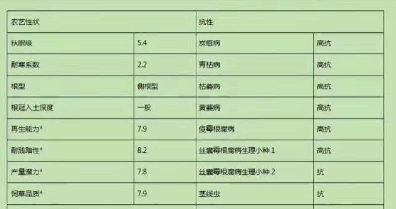 紫花苜蓿牧草种子批发厂家直销质量好各种牧草种子批发