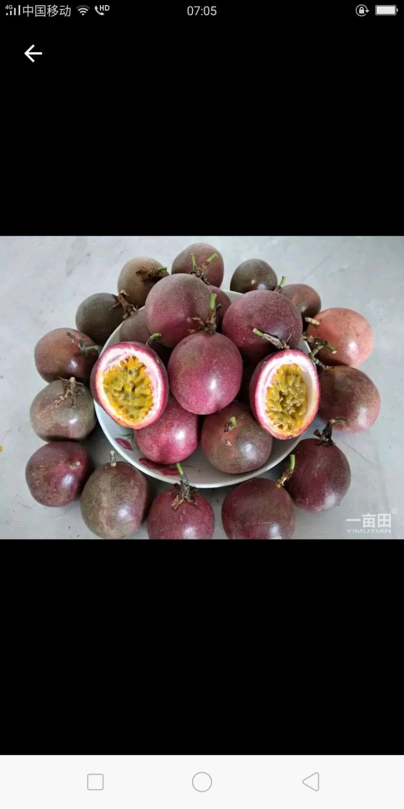 百香果
