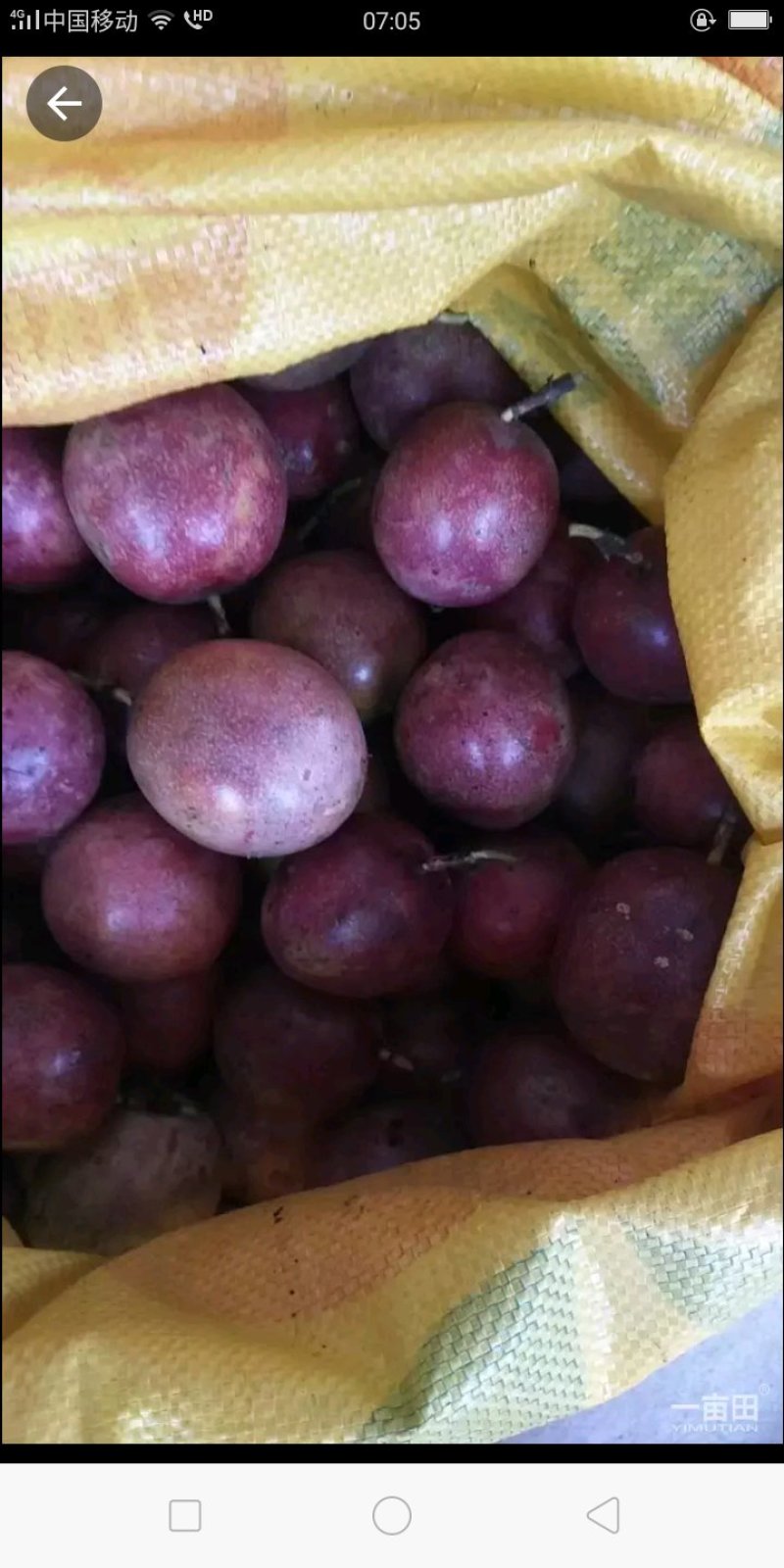 百香果