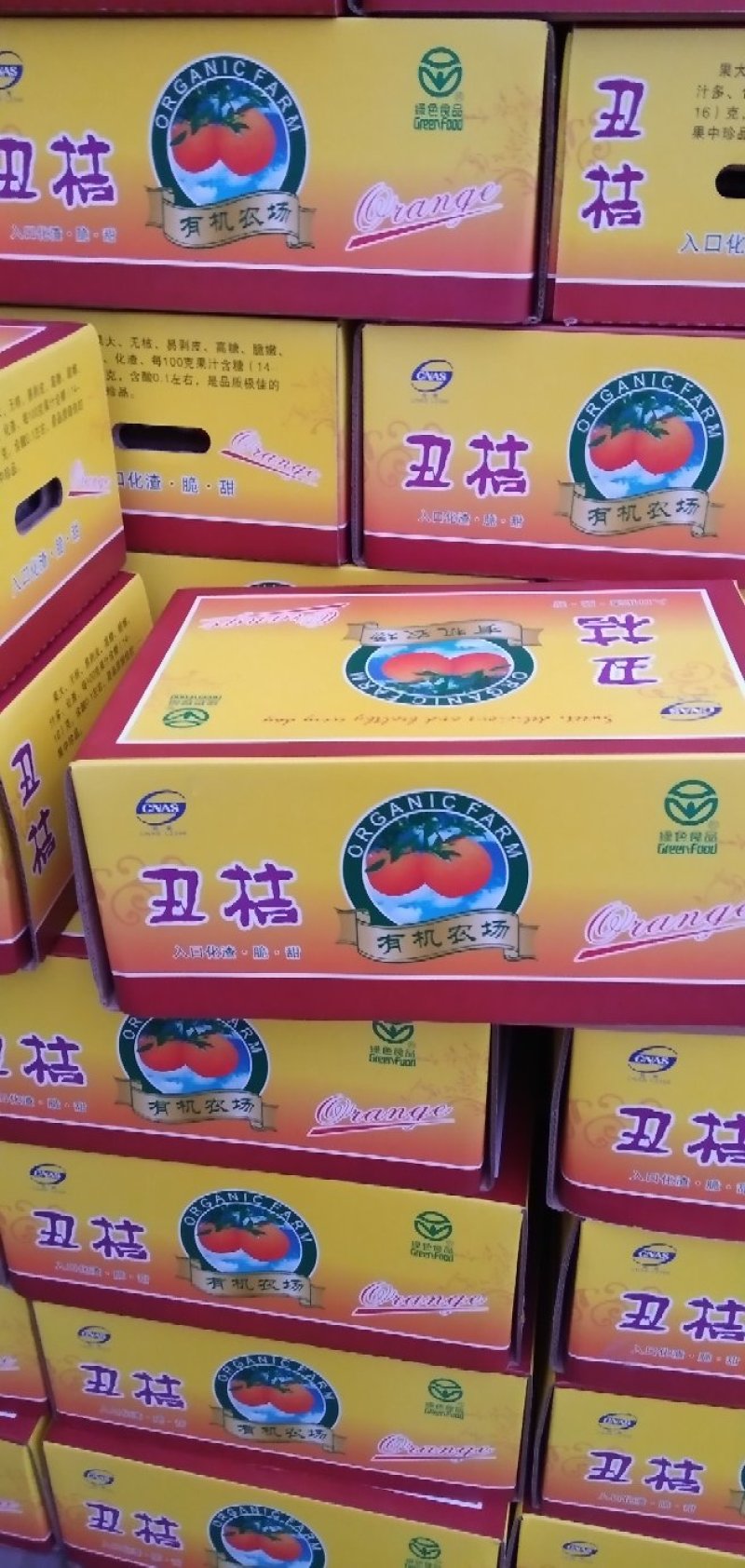 四川精品椪柑，大量上市，诚信经营，一手货源，欢迎选购