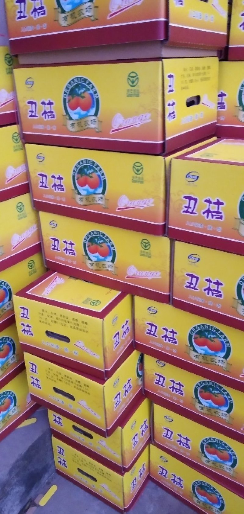 四川精品椪柑，大量上市，诚信经营，一手货源，欢迎选购