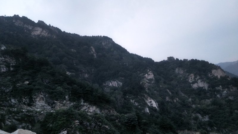 高海拔，根雕基件