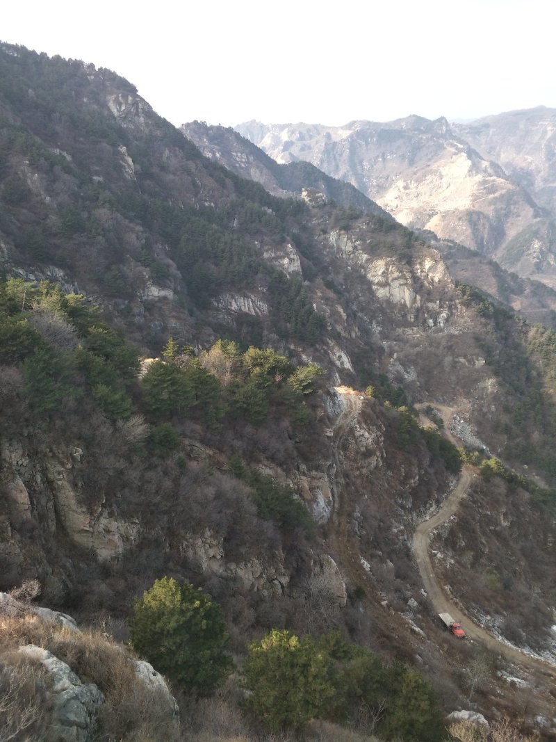 高海拔，根雕基件