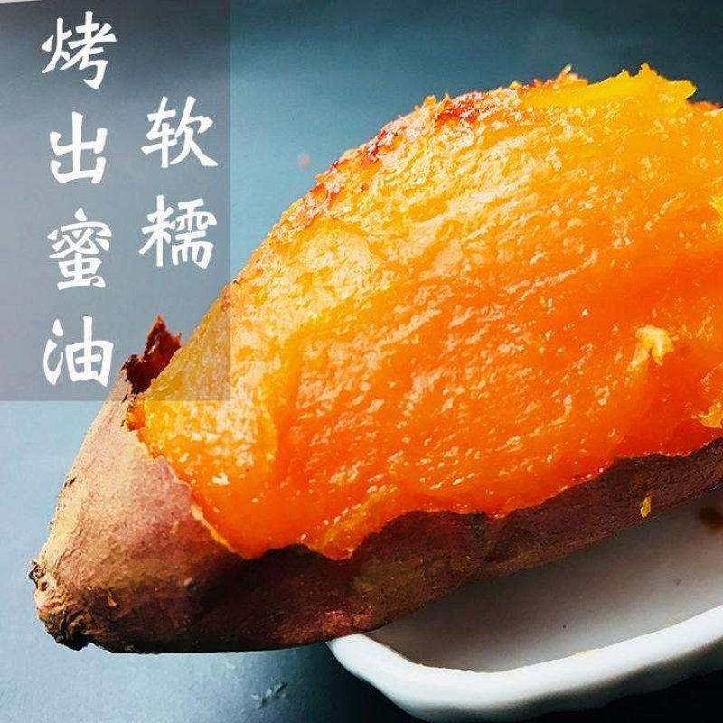 烟台烟薯25