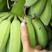贵州小米蕉新鲜10斤野生水果香蕉帝王蕉banana整箱