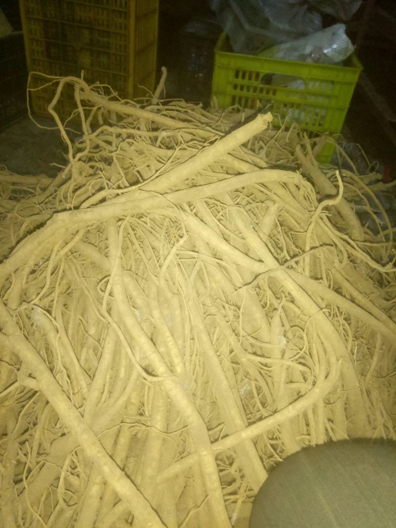 黄芪(个子)