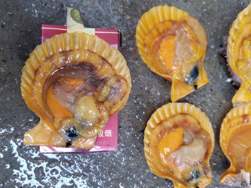 鲜活扇贝，黄金扇贝，扇贝，湛江扇贝量大从优