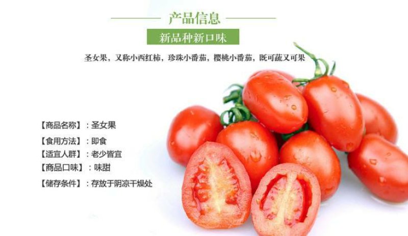 河南滑县圣女果。